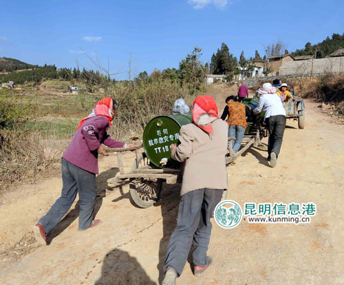 寻甸回族彝族自治县农业农村局最新动态报道